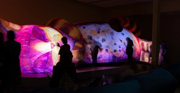 The Cat That Slept for a Thousand Years